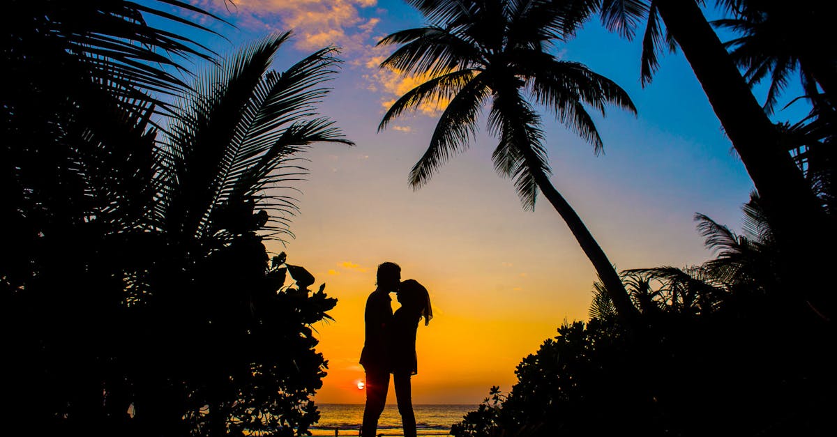 découvrez nos conseils, idées et ressources pour renforcer votre relation de couple, améliorer la communication et vivre une vie amoureuse épanouie.